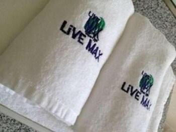 Livemax Budget Higashi Ueno 2* Tokio