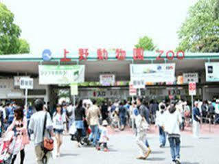 Livemax Budget Higashi Ueno Tokio